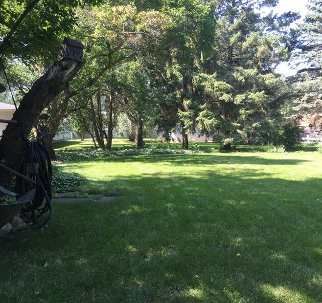 Best Grass Seed for Shade - Supreme Shade