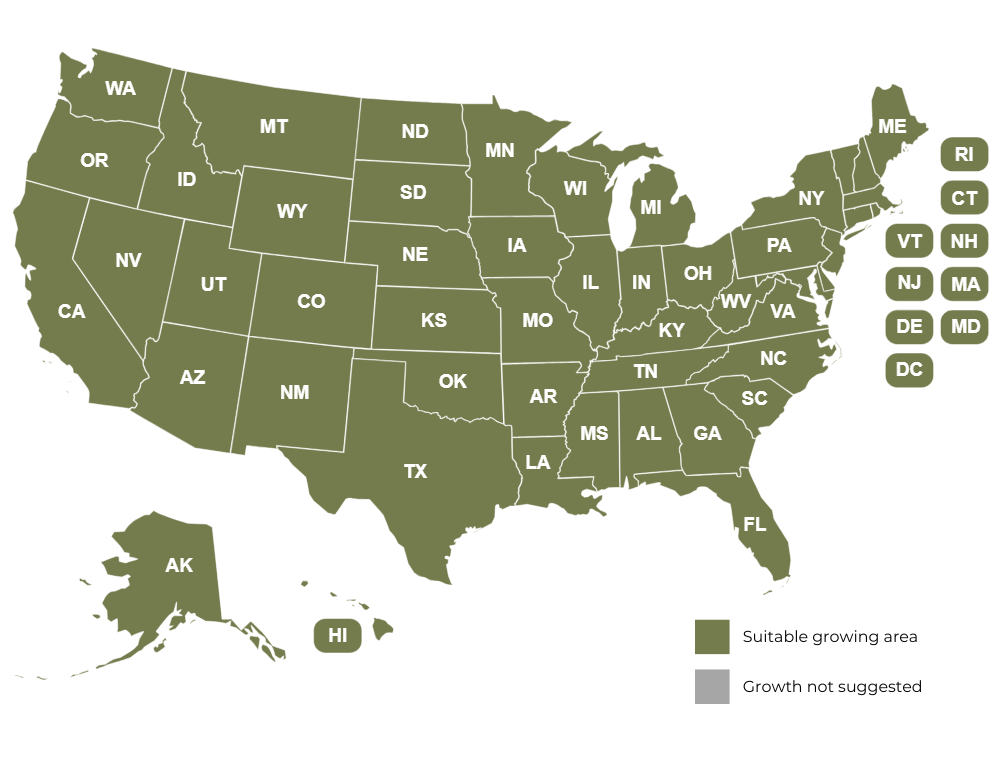 united states map showing all states highlighted.