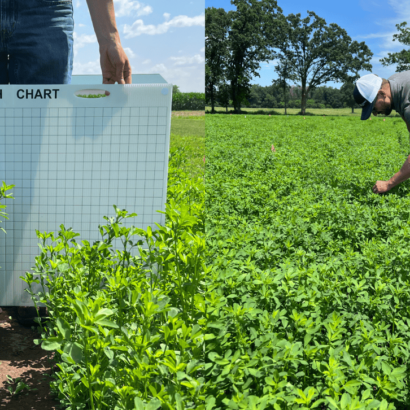 Seed and Seedstock Purchasing