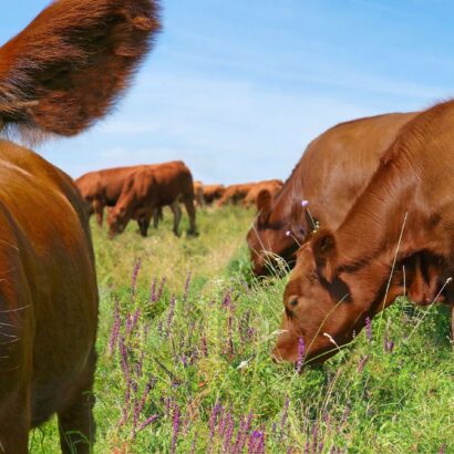 Good Grass Doesn’t Manage Itself